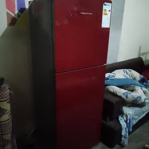 Changhong Ruba DC invertor Refrigerator 8