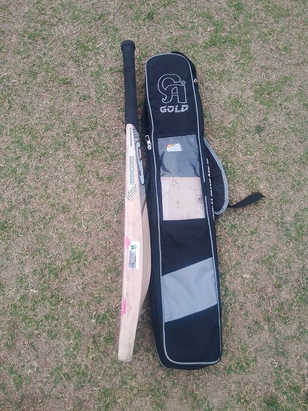 CA Gold DRAGON English willow bat For Sell 2