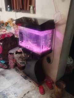 fish aquarium with 6 fishs and 2 pumps