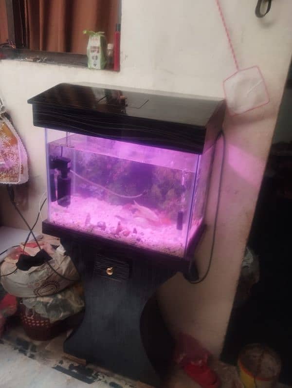 fish aquarium with 6 fishs and 2 pumps 2