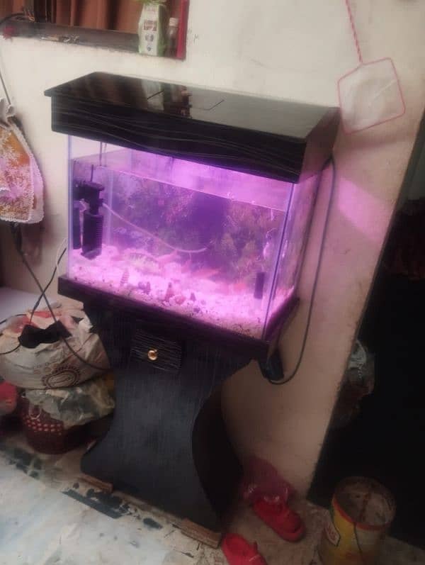 fish aquarium with 6 fishs and 2 pumps 1