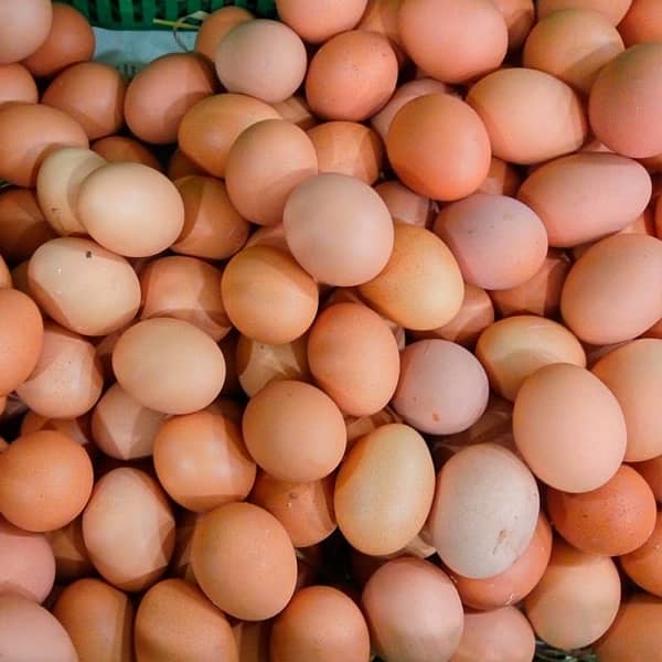 12 non fertile desi eggs 1