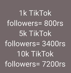 TikTok Followers