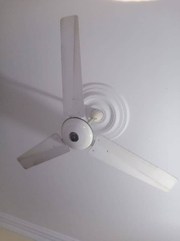 1 Deluxe fan 5000 0