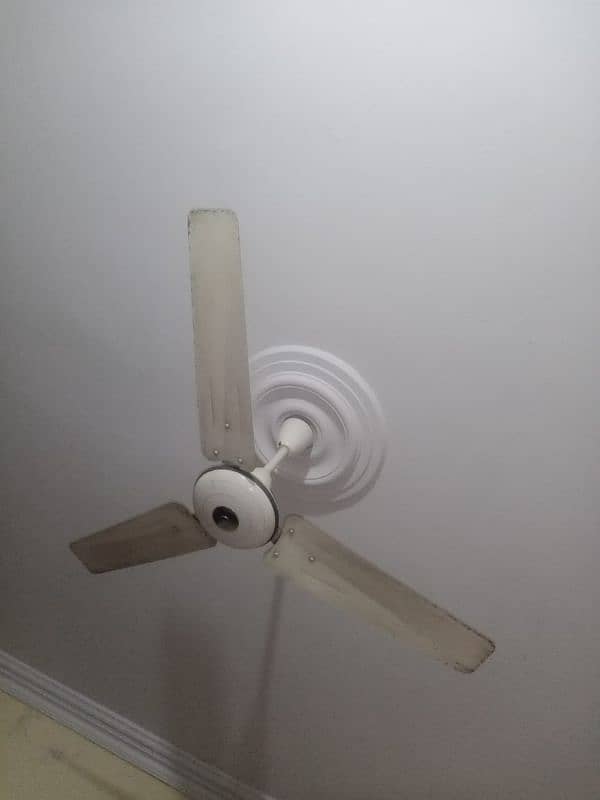 1 Deluxe fan 5000 3