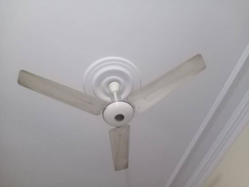 1 Deluxe fan 5000 4