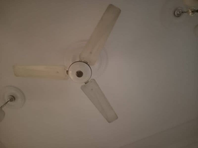 1 Deluxe fan 5000 5