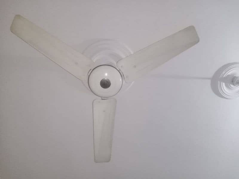 1 Deluxe fan 5000 6