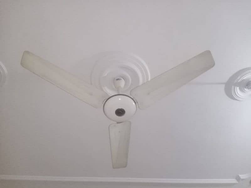 1 Deluxe fan 5000 7