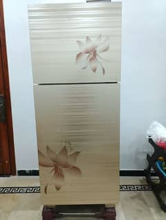 Kenwood Refrigerator  Golden Persona Plus Series