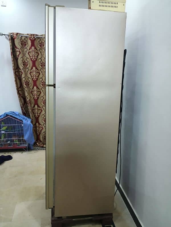 Kenwood Refrigerator  Golden Persona Plus Series 4