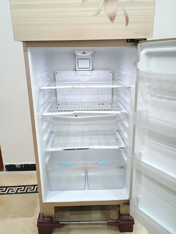 Kenwood Refrigerator  Golden Persona Plus Series 8