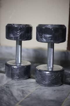 8kg Dumbbells Pair For Gym Workout