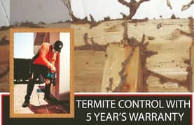 Termite Proofing/Roof Water Proofing/Heat Proofing