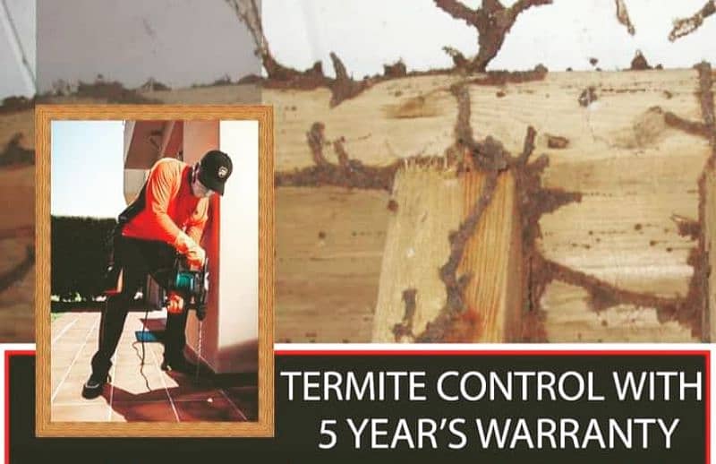 Termite Proofing/Roof Water Proofing/Heat Proofing 1