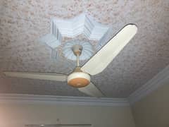 SK ceiling fan