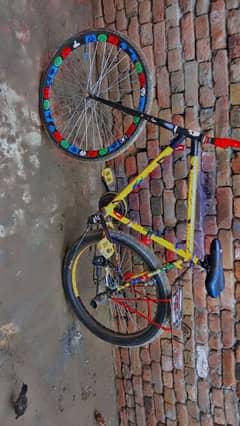 brand new ready bicycle