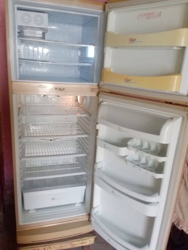 PEL fridge 03016981498 0