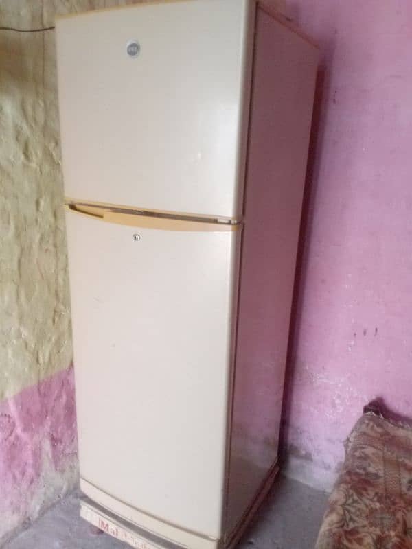 PEL fridge 03016981498 3