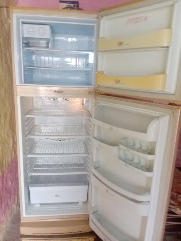 PEL fridge 03016981498 4