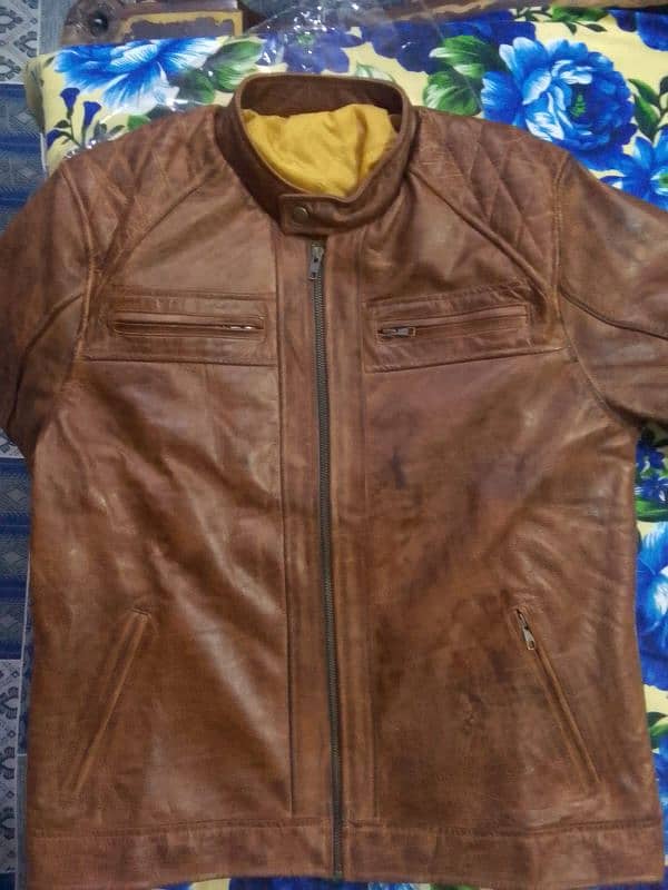 Leather 100% cow Leather jacket 3