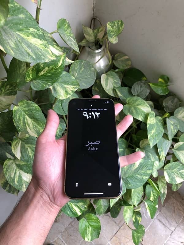 iphone 12 pro max non pta 0