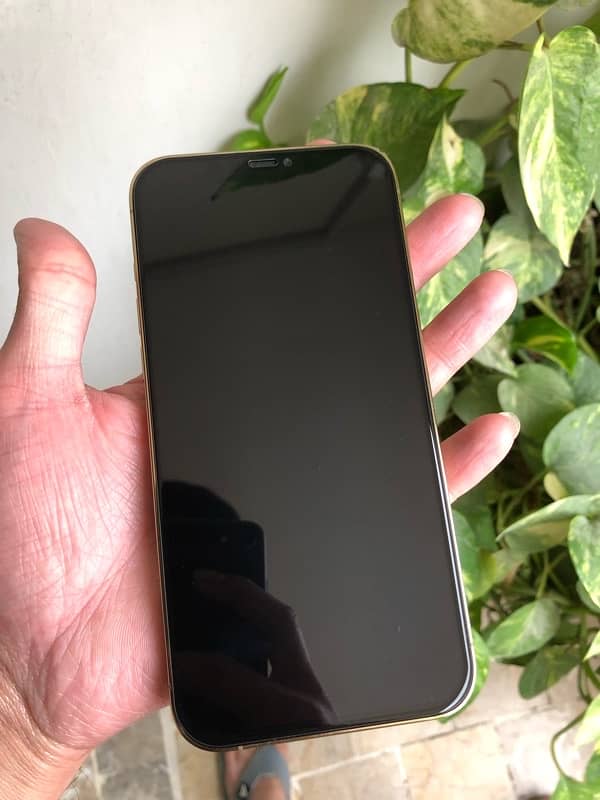 iphone 12 pro max non pta 7