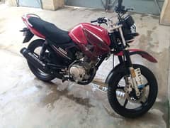 Yamaha ybr 125 2021 model for sale