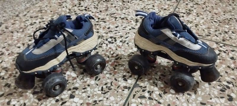 skating shoes 3