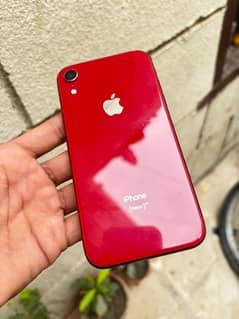 I phone Xr