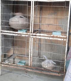 cage for sale