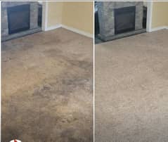 Professional Sofa Carpet Cleaning/Water Tank Cleaning