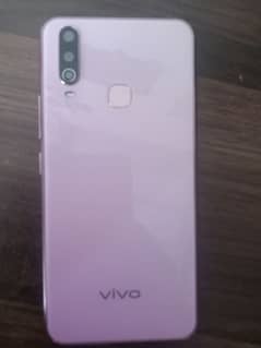 vivo