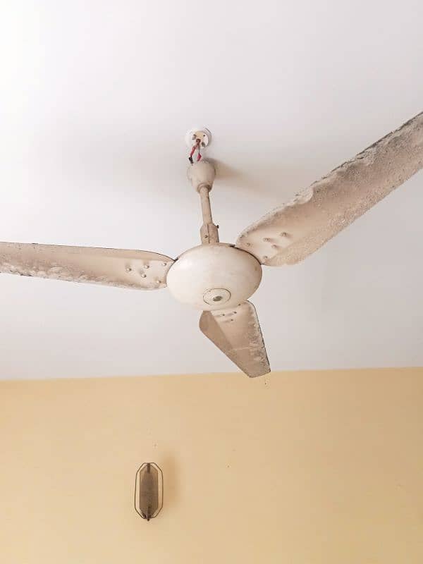 4 CEILING FANS FOR SALE 3