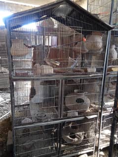 used cages for sale