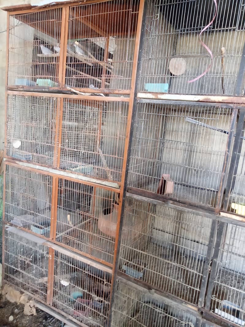 used cages for sale 1