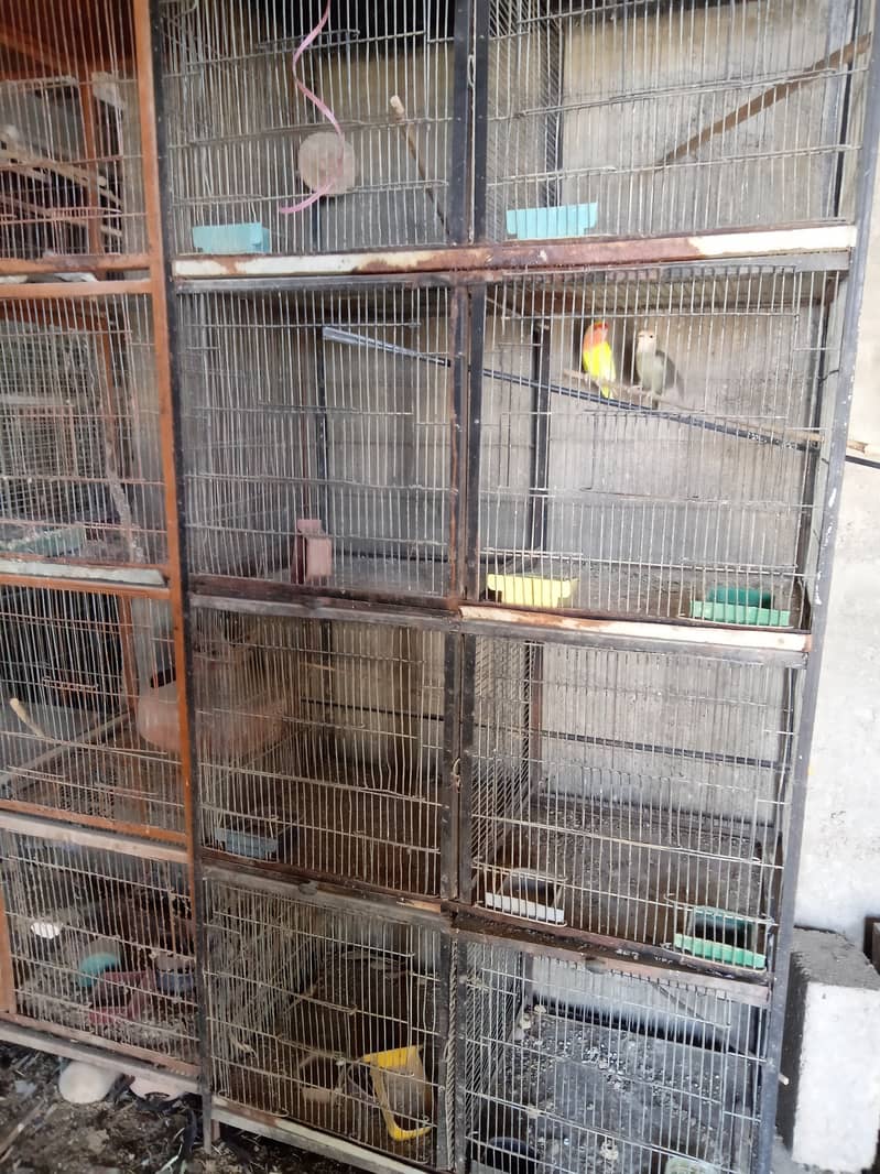 used cages for sale 2