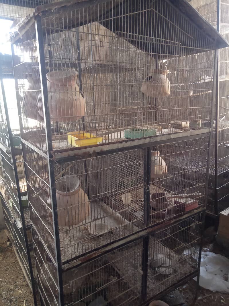 used cages for sale 3