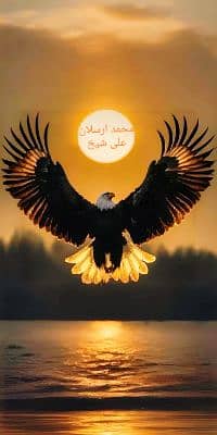 Mohammad Arsalan Ali Sheikh