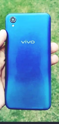 vivo y81 pta approved