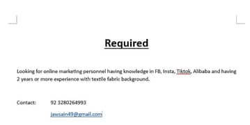 Wanted Online Marketing Executive