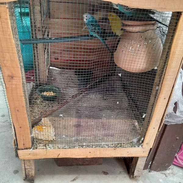 cage for birds 1