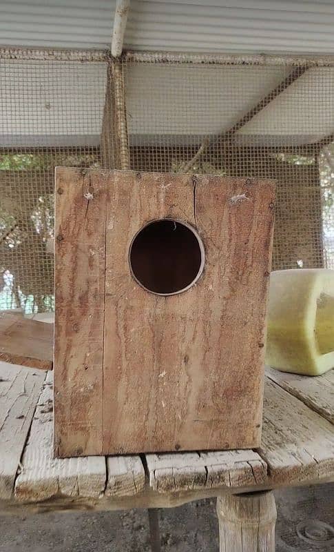 Nest box for ringneck 0