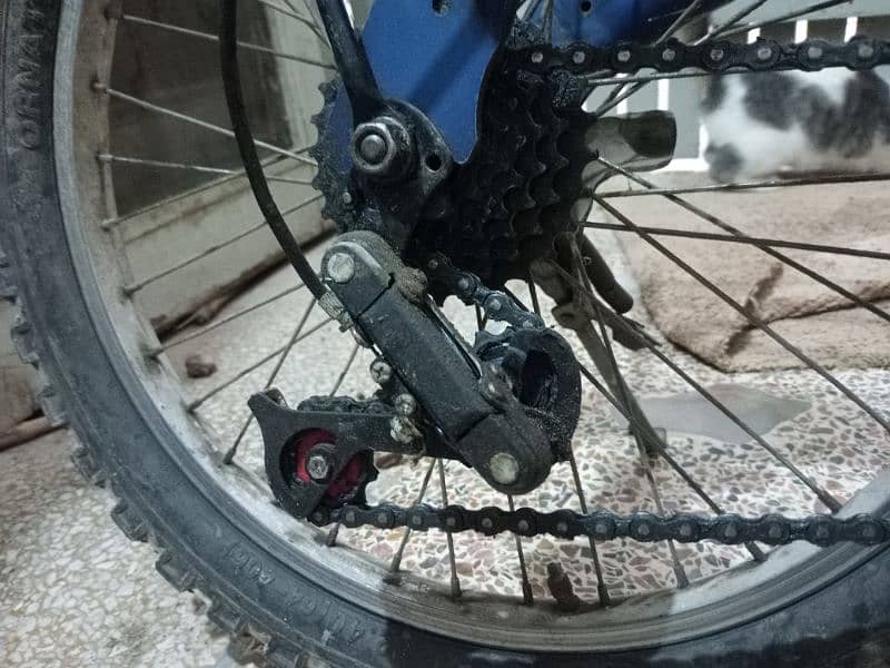 Mountain bicycle with 6 gears 5