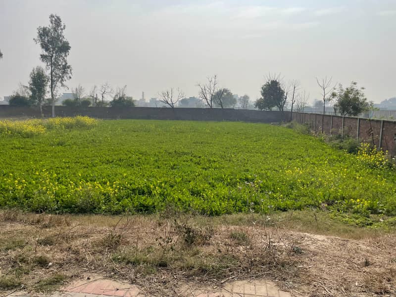 4 Kanal Farm House land Availabel For Sale At the top of location Bedian Road Near To heir Moza Tatla. 0