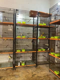 cages forsale