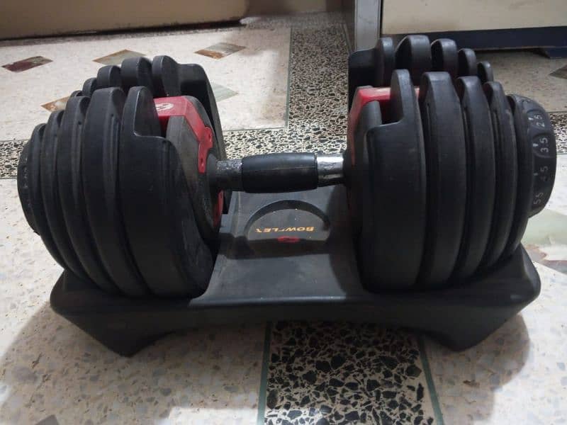 Bowflex 1 piece Dumbbel 24 KG 1