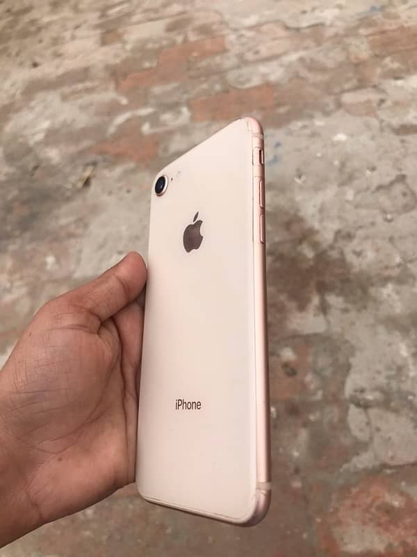 Iphone 8 Golden 6