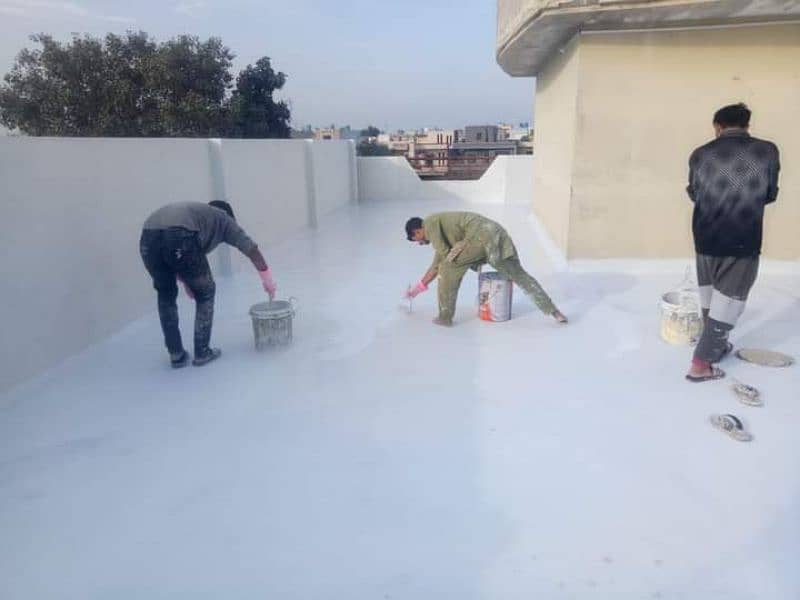 Roof Water Proofing with warranty/Termite Proofing 8