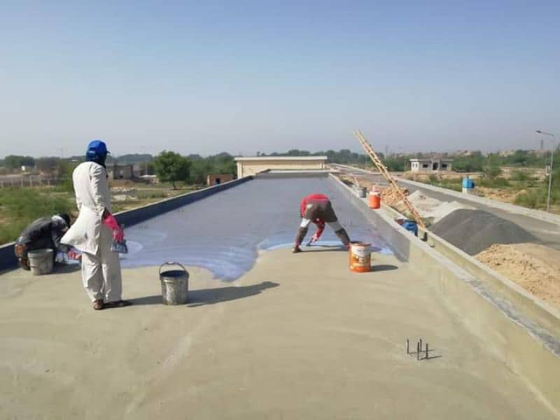 Roof Water Proofing with warranty/Termite Proofing 12